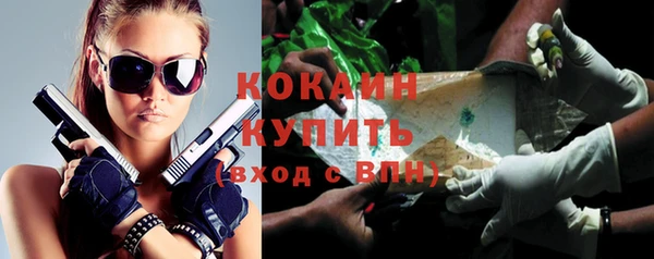 твердый Алексин