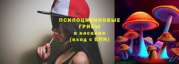 твердый Алексин