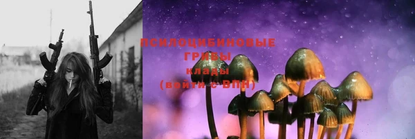 твердый Алексин