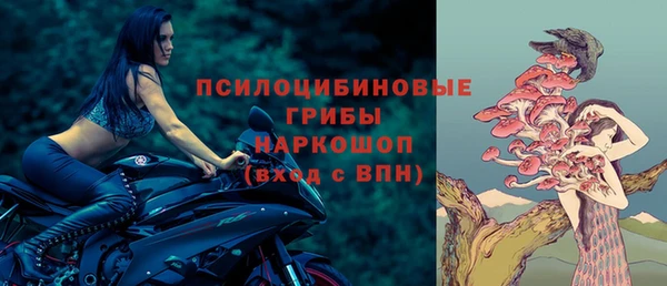 сатива Алзамай
