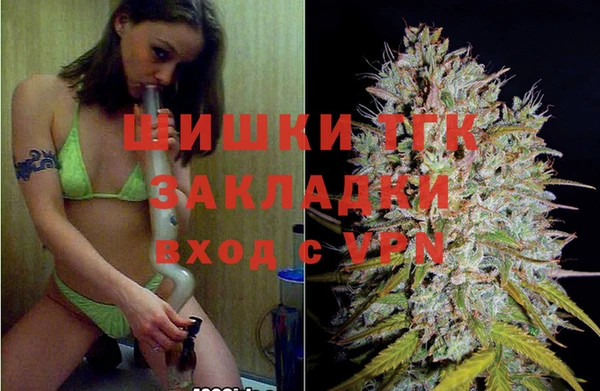 сатива Алзамай