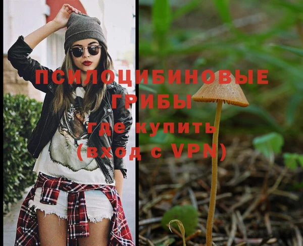ешки Алексеевка